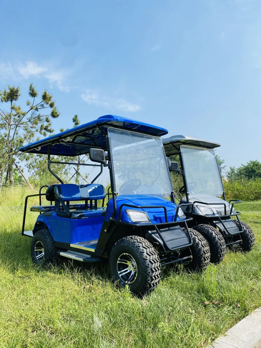 Electric Golf Cart Main View