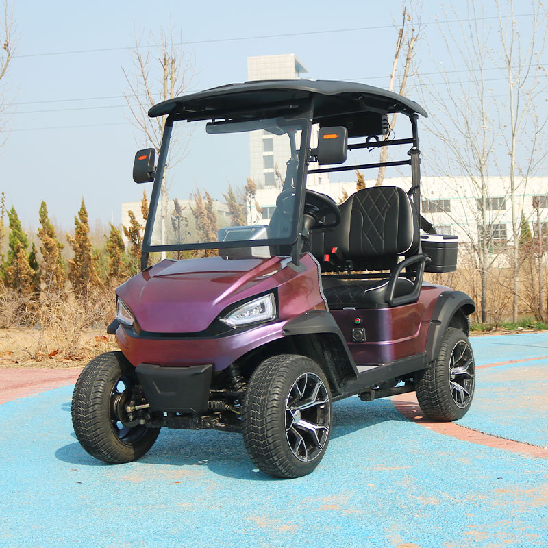 Luxury New Custom Golf Carts for Sale Powered Golf Buggy Scooter