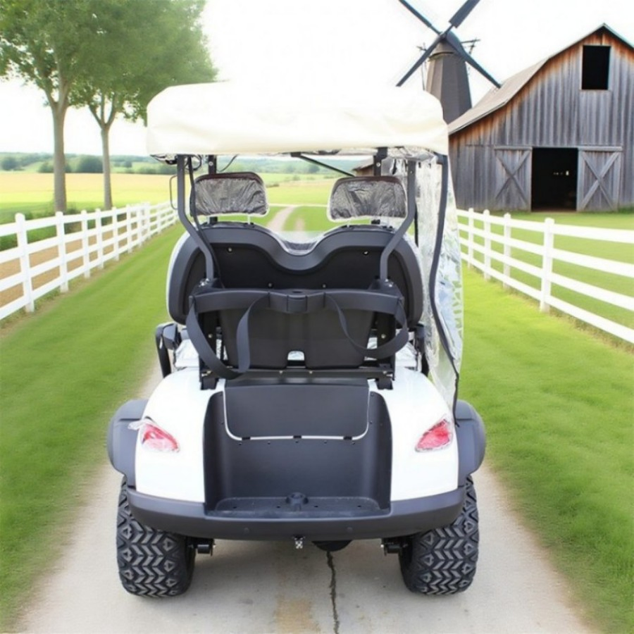 Electric Smart Golf Cart UTV Cheap Mini Chinese 2 Seater Wheel Gasoline Gas Powered Electric Golf Carts with Folded Seat
