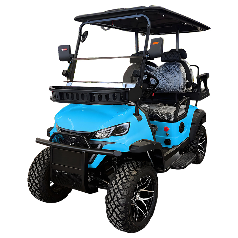 Luxury Wholesale Custom Lithium 6 Seater Golf Cart
