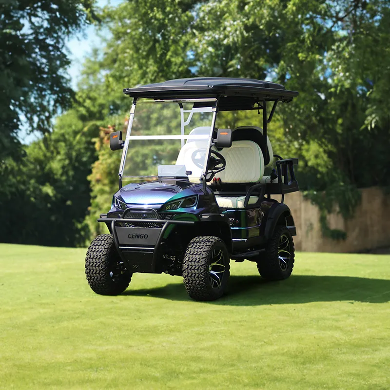 Electric Golf Cart Front View