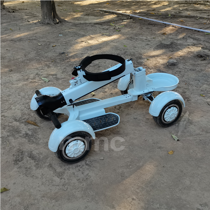 Folding 2000W 48V Electric Golf Skateboard 10 Inch Four Wheels Golf Scooter Golf Carts