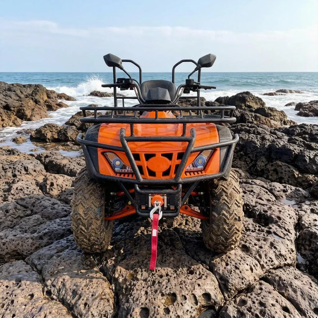 CVT Automatic Transmission Easy Operation 200cc 250cc 4 Seater Four-Wheeled Adults off Road Sport Gasoline Utility ATV CE ECE EPA Certified Automatic 125cc 4-St