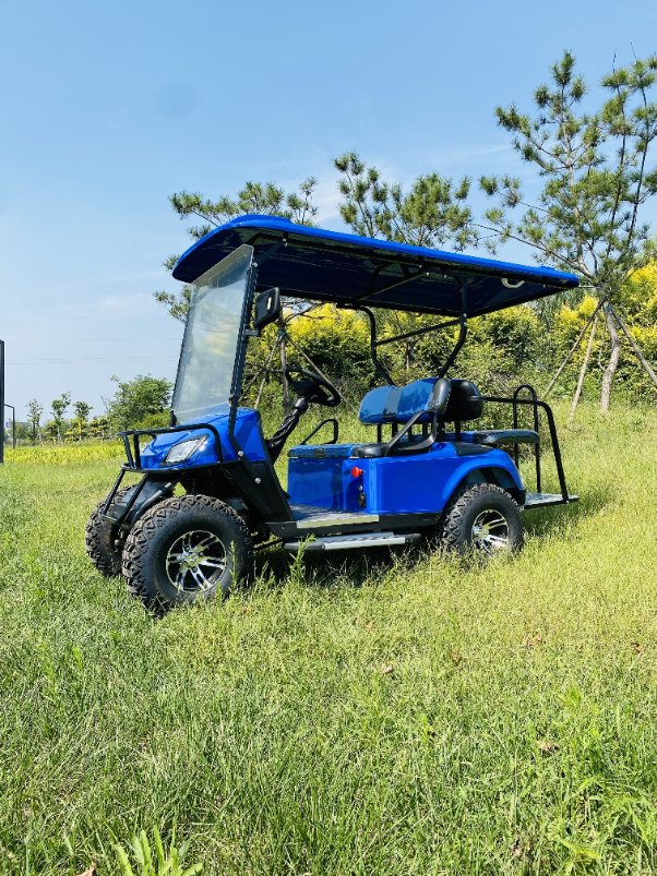 Custom Club DC Motor Four Wheel Drive Electric Golf Cart 2 Seater with Folded Back Seat