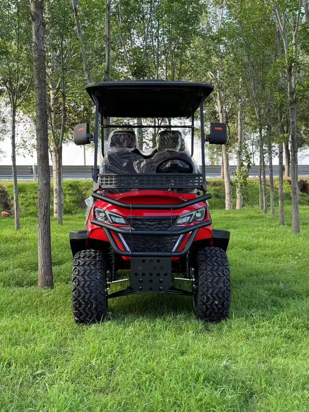 Electric Golf Cart Front View