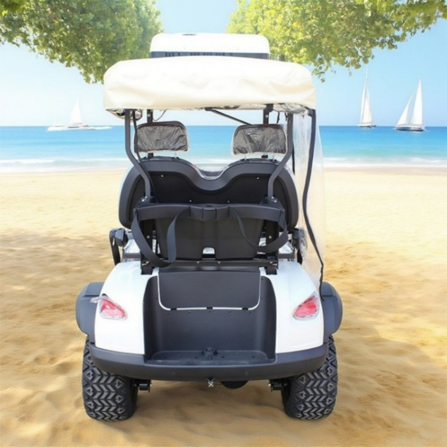 Electric Smart Golf Cart UTV Cheap Mini Chinese 2 Seater Wheel Gasoline Gas Powered Electric Golf Carts with Folded Seat