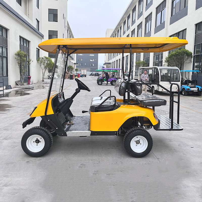 Wholesale 300cc 2 4 6 Seater EPA Certified Gas Powered Golf Carts/off Road Golf Cart with Gasoline Engine