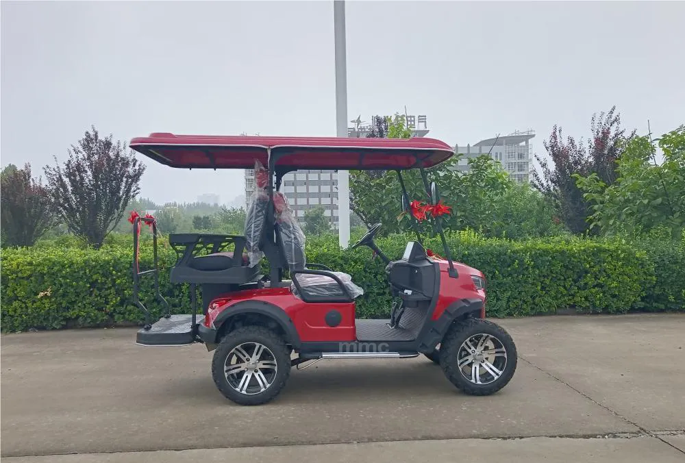 Golf Cart Front View