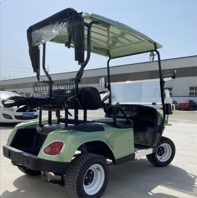 Mini Lithium Battery 2 Seater Wheel Gasoline Gas Powered Electric Golf Carts