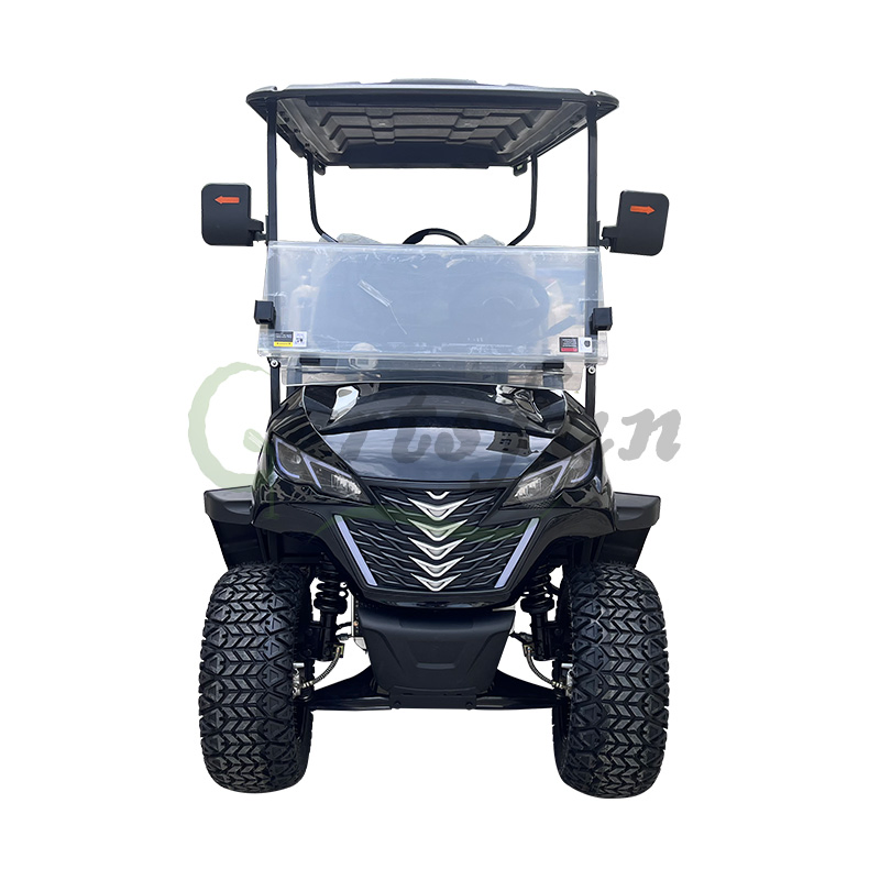 Cartsfun AC System 5kw Motor 40km/H Gas Powered Golf Cart