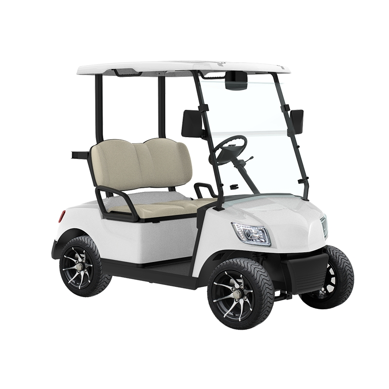 Guangdong Marshell Electric Golf Carts CE Approved Buggy New Model for Sale (DG-M2)