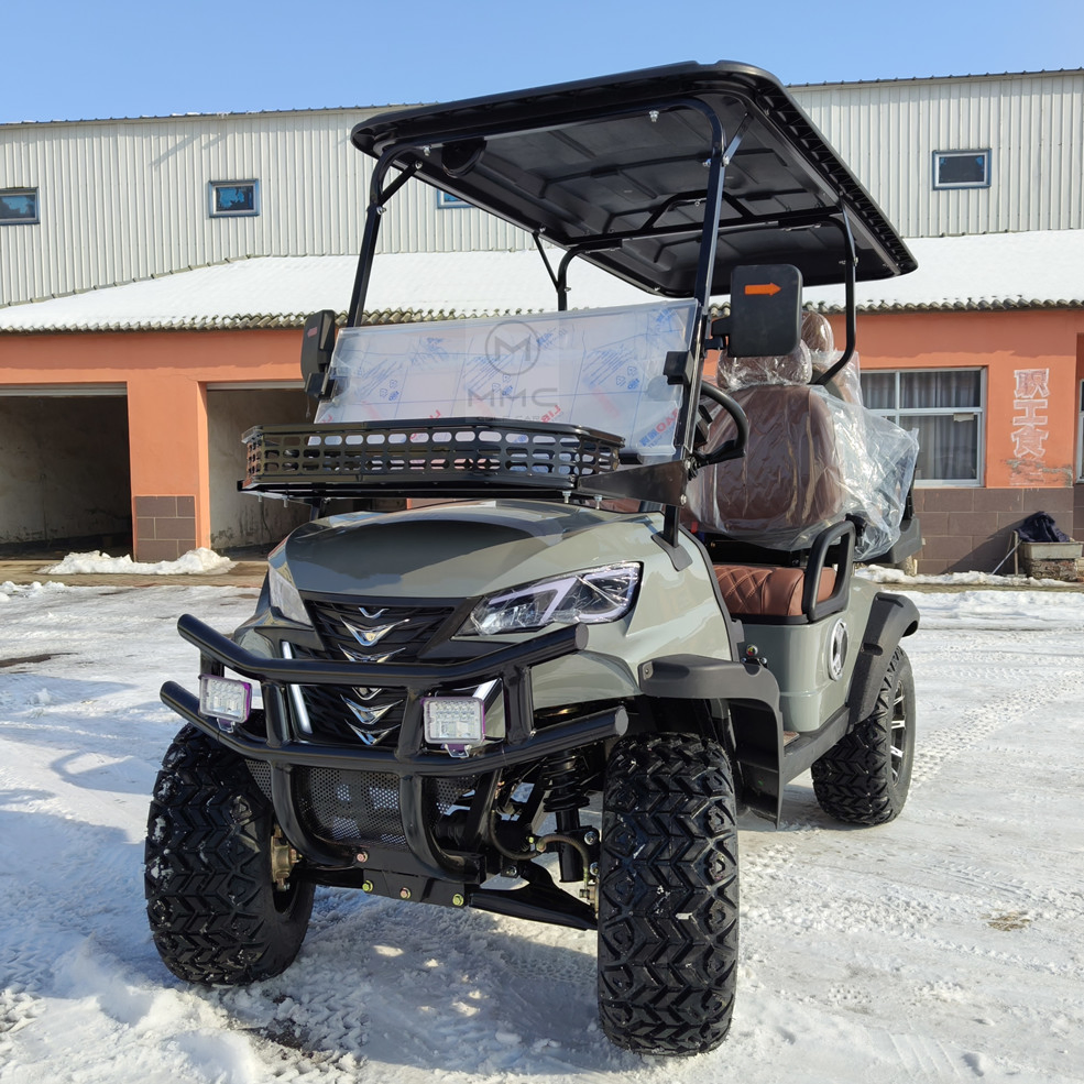 Best Selling in The USA Solar Panel Powered 2 4seater Electric Wagon 60V Independent Suspension off-Road Golf Cart