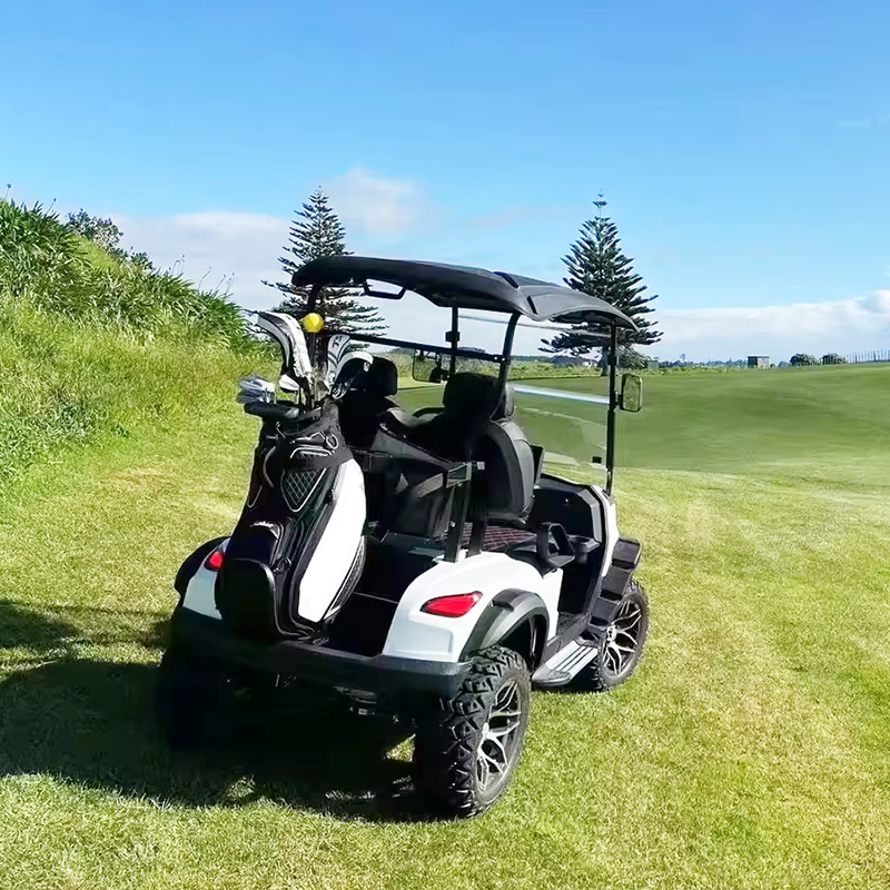 2024 Street Legal Hot Selling Golf Carts Gas Powered Gasoline Golf Cart Wheels and Tires Customizable Buggy Carts