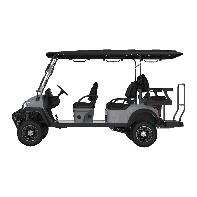 4+2 Passenger Street Legal Lsv Electric Golf Buggy Multi Color Choices