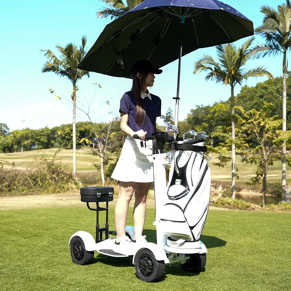 Golf Scooter Detail 1