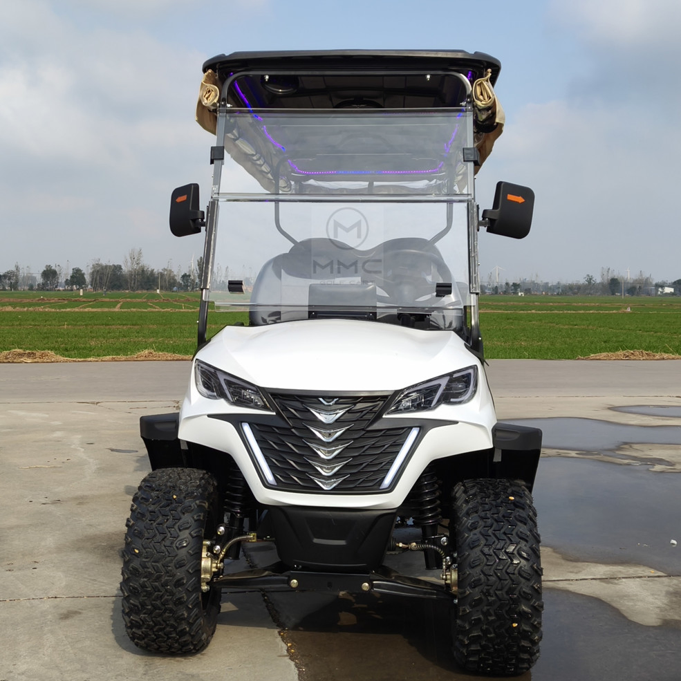 Best Price Lithium Battery Golf Cart 48V Adults Scooter Solar Panels Powered 6/4 Seater off Road Beach Buggy Electric Golf Cart