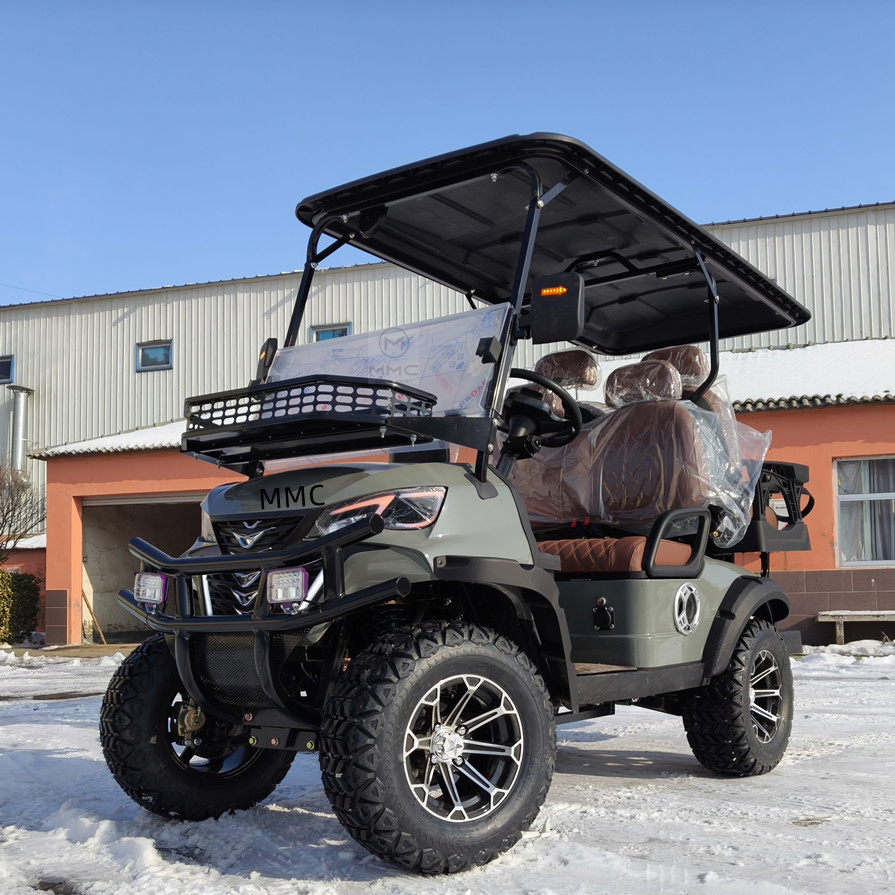 Best Selling in The USA Solar Panel Powered 2 4seater Electric Wagon 60V Independent Suspension off-Road Golf Cart