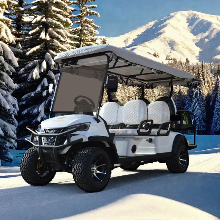 Solar Powered 72V Mini Electric Golf Carts Electric 6 Seater for Sale