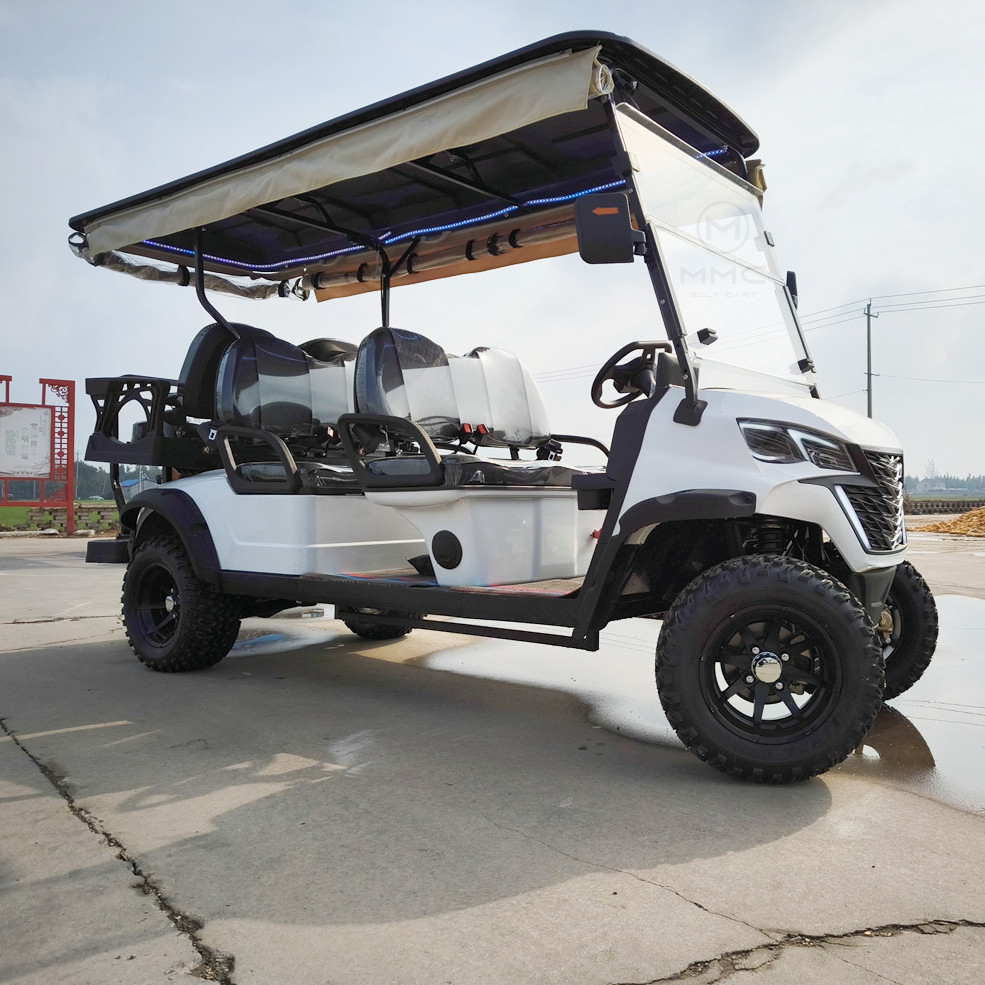 Best Price Lithium Battery Golf Cart 48V Adults Scooter Solar Panels Powered 6/4 Seater off Road Beach Buggy Electric Golf Cart