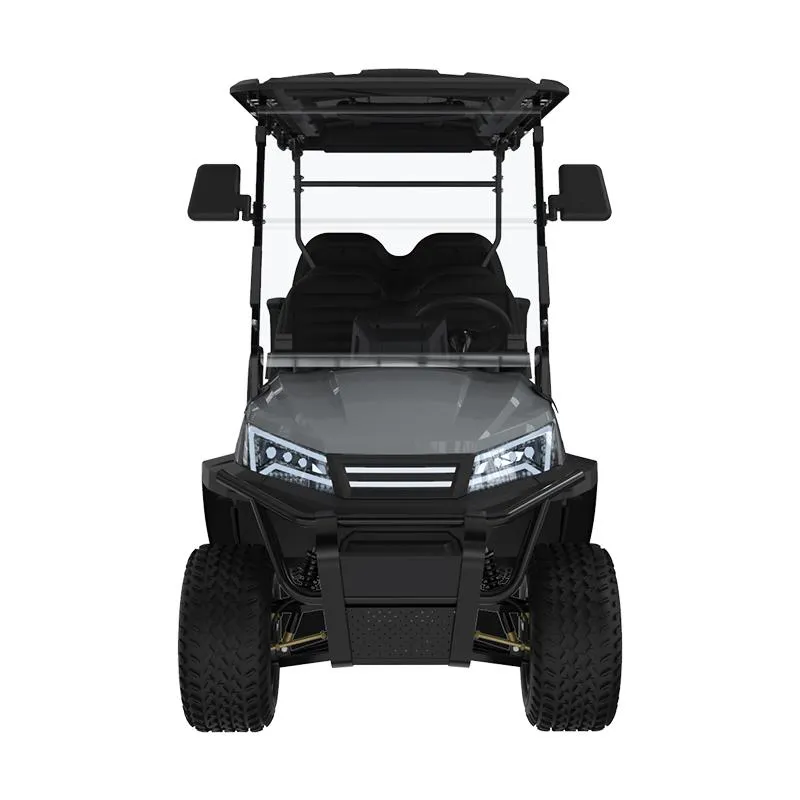 Electric Golf Buggy Details