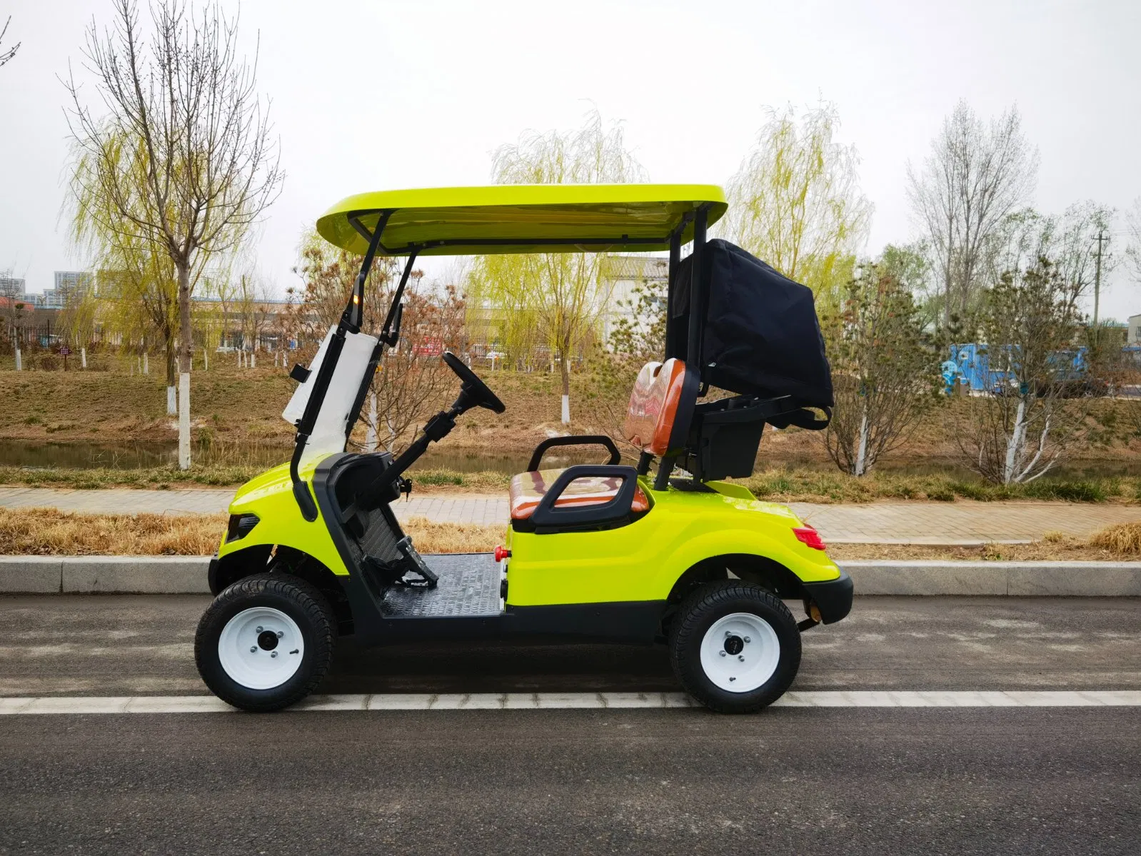 Rugged 2-Seaters Golf Cart with off-Road Tires for Desert Safari