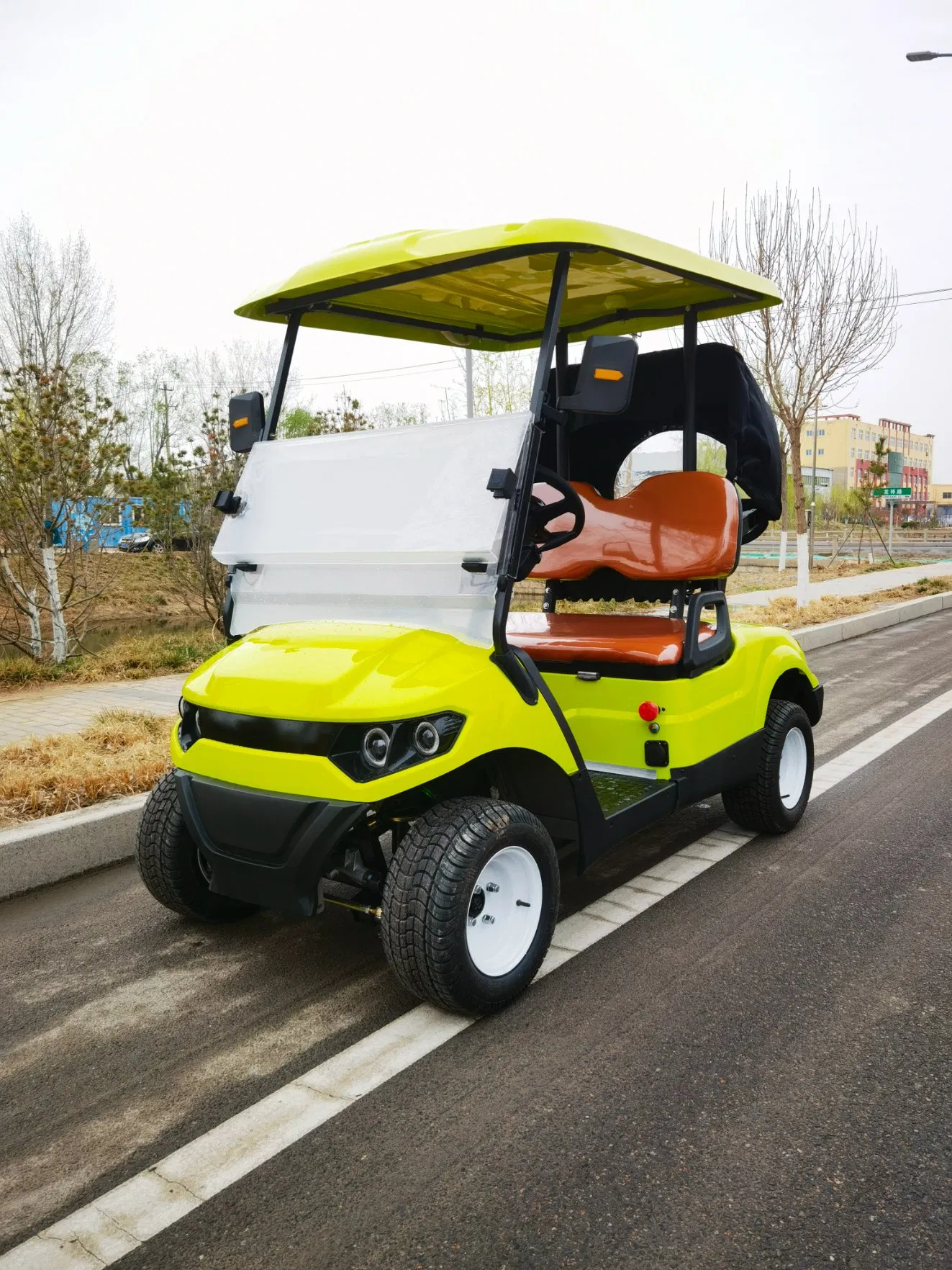 Rugged 2-Seaters Golf Cart with off-Road Tires for Desert Safari
