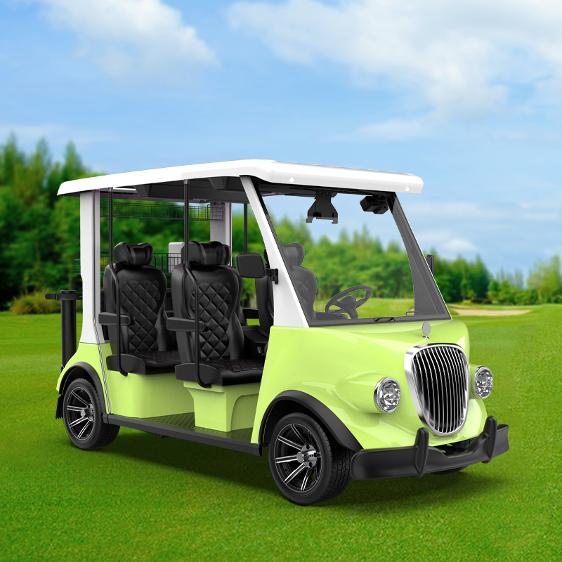 2025 Lsv Agv Electric Street Legal Golf Cart with DOT Certificate China