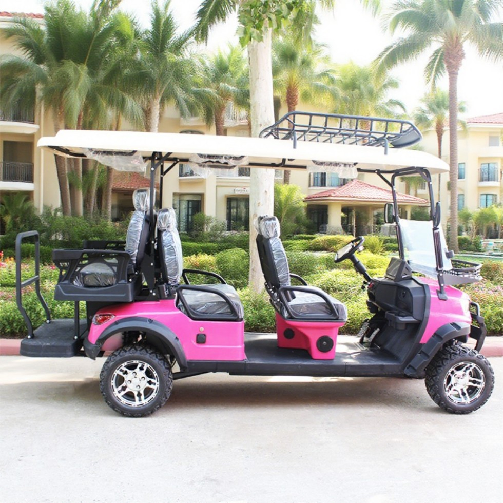 New Concept Model Electric Golf Cart with 6 Seats Forward Lithium Battery (48V) Electric Cart