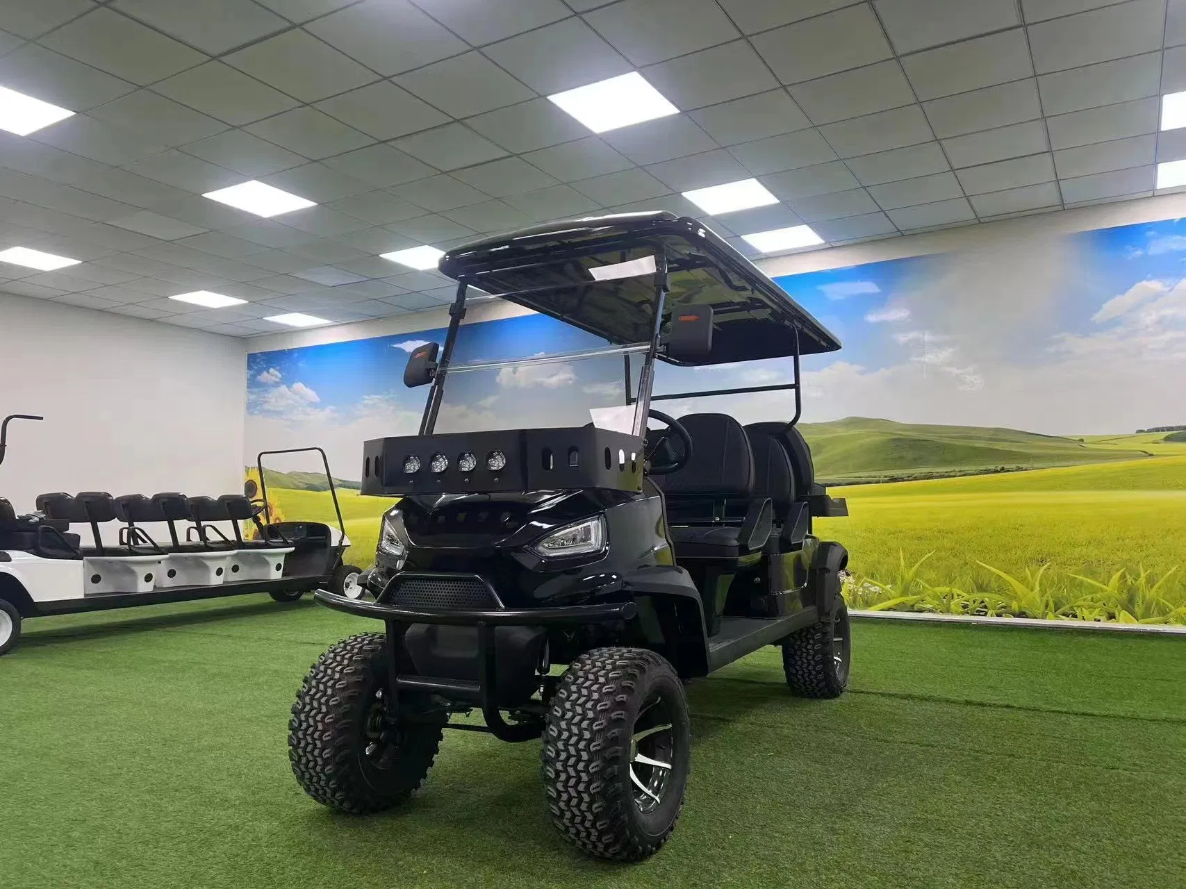 Cart Electric Seater Gasoline Powered Foldable Push Food Delivery South Korea Price Steel Frame 14 Front Axle 6 Gas Golf Carts