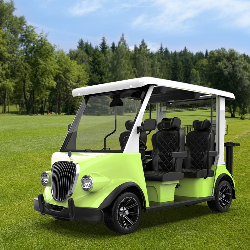 2025 Lsv Agv Electric Golf Cart: DOT Certified Street Legal China Export
