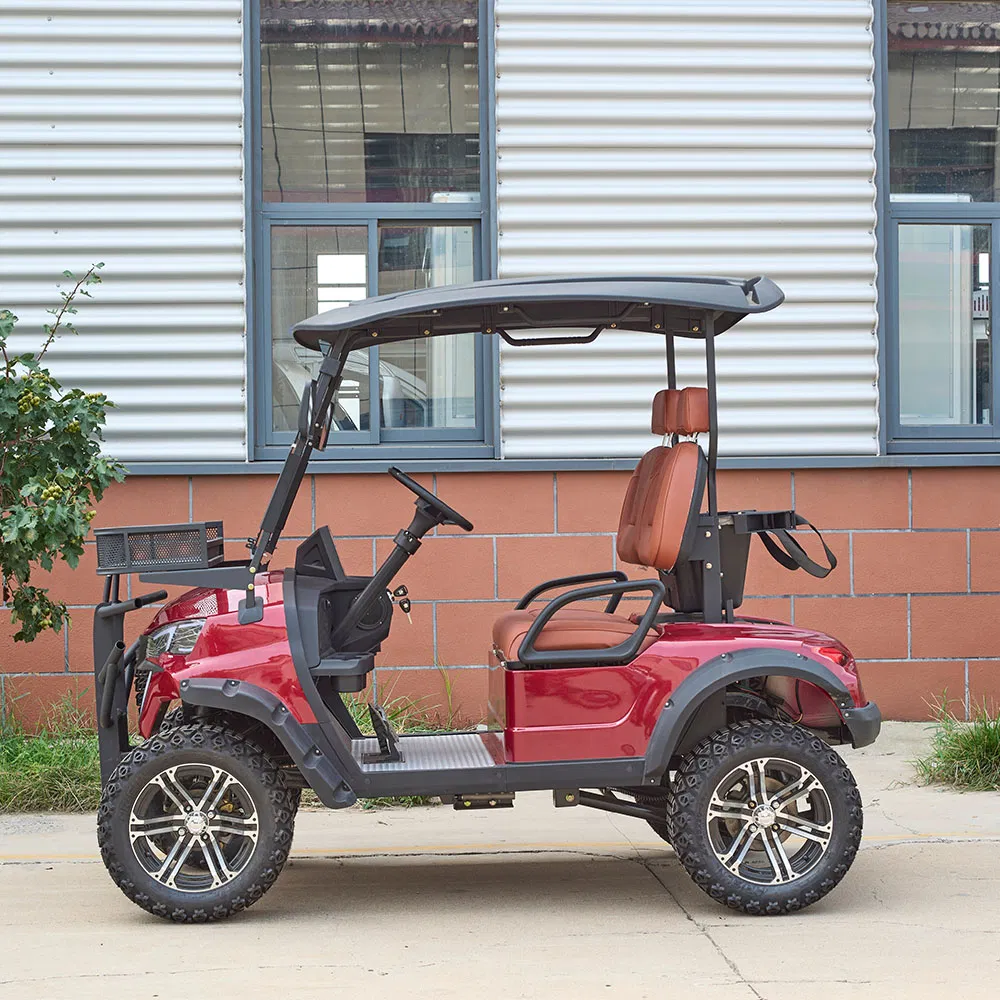 Custom Confortable 2 Seats 48V Electric Luxury Golf Cart