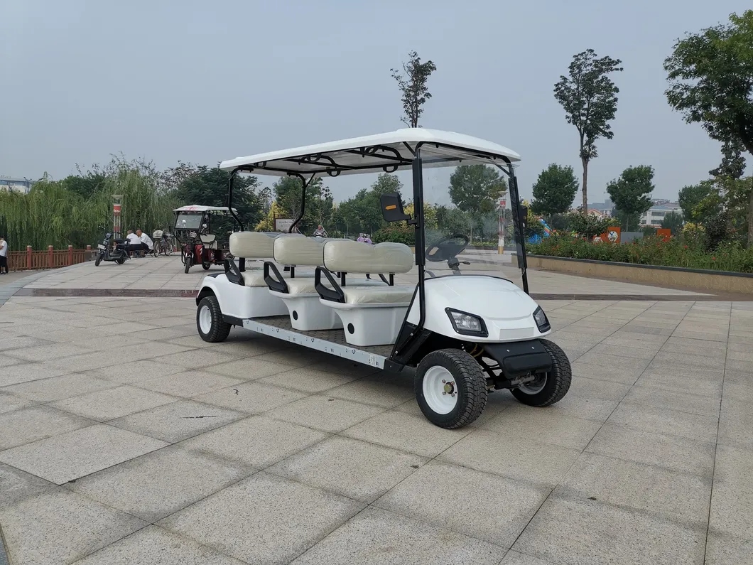 Electric Golf Cart View 2