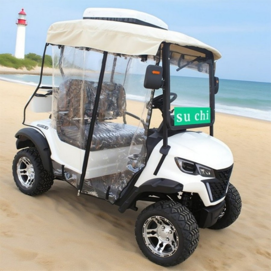 Electric Smart Golf Cart UTV Cheap Mini Chinese 2 Seater Wheel Gasoline Gas Powered Electric Golf Carts with Folded Seat