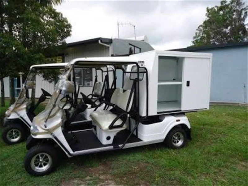 Electric Golf Cart View 3