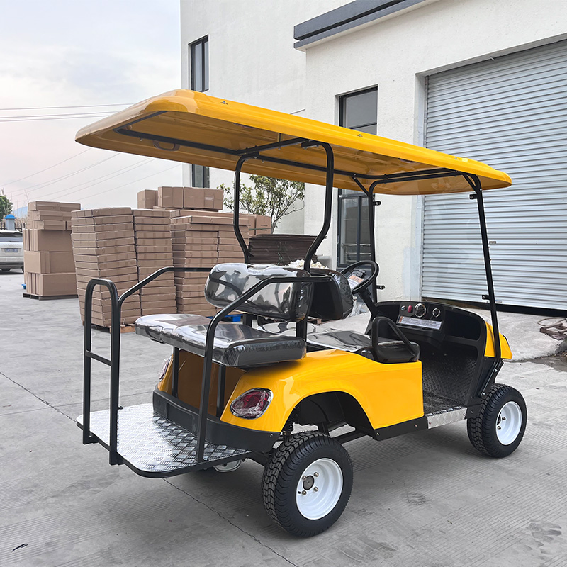 Wholesale 300cc 2 4 6 Seater EPA Certified Gas Powered Golf Carts/off Road Golf Cart with Gasoline Engine