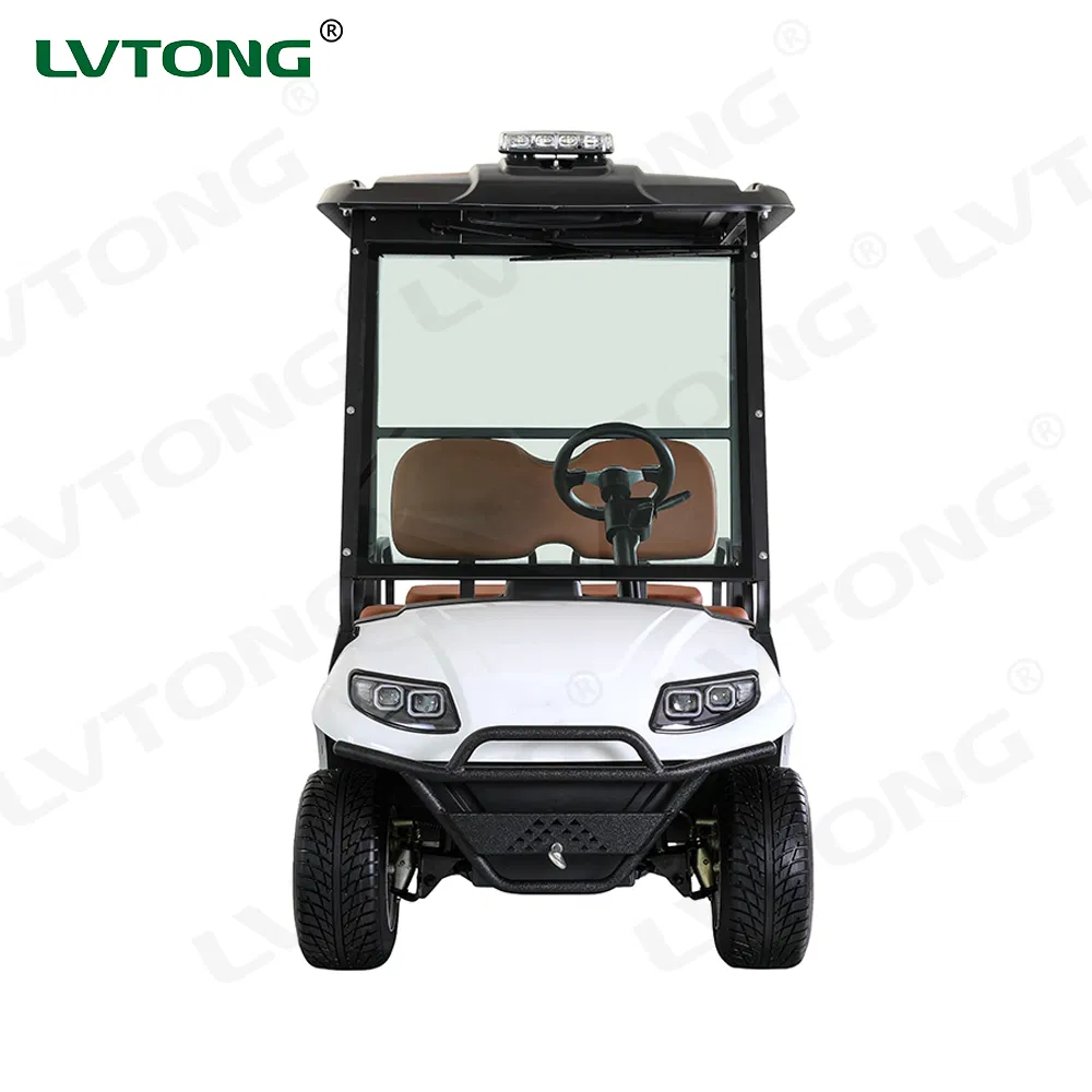 Luxury Design Custom Fancy 48 Volt Golf Cart