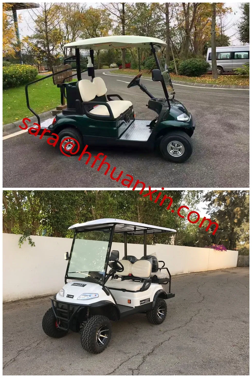 Electric Golf Cart View 2