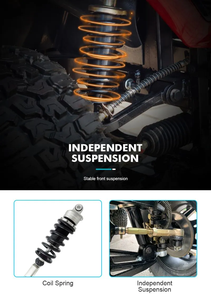 Electric Vehicle Details