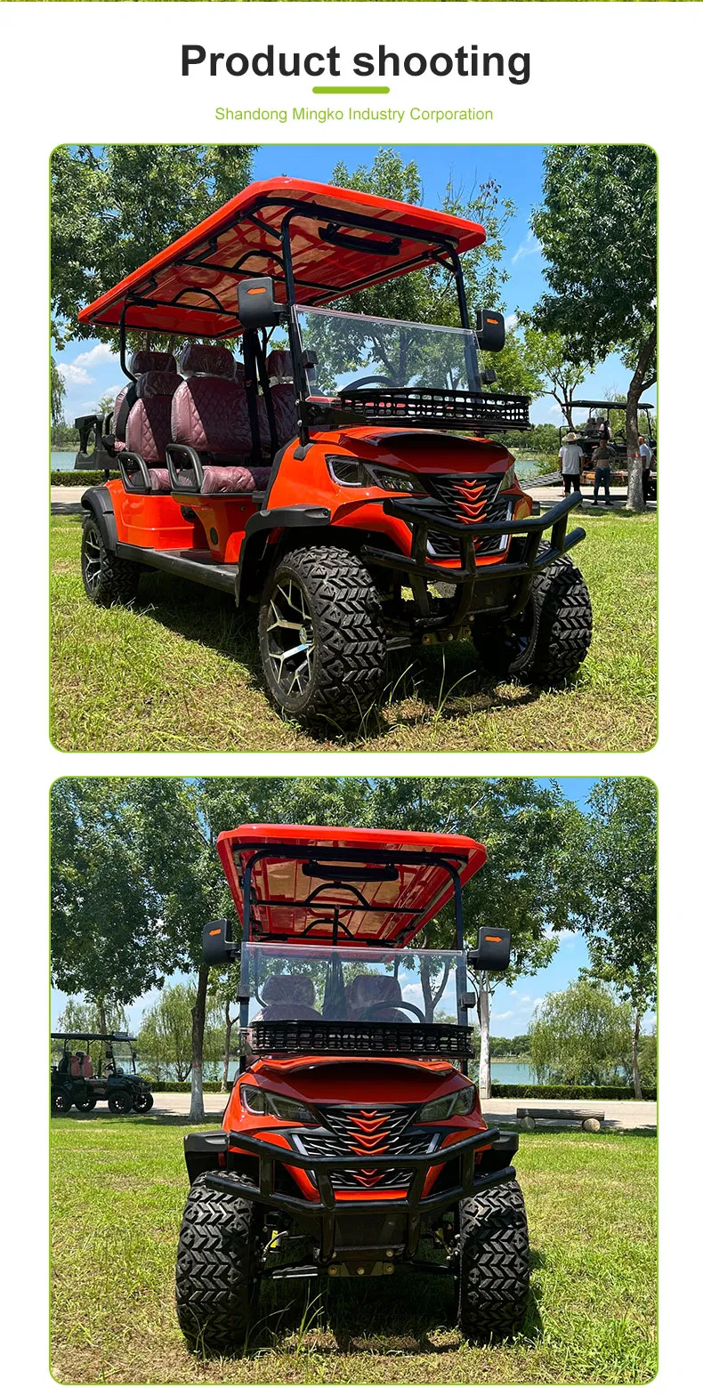 Electric Golf Cart View 11