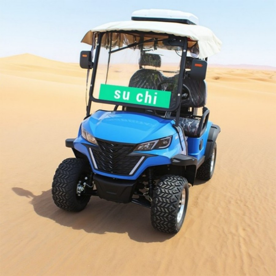 Electric Smart Golf Cart UTV Cheap Mini Chinese 2 Seater Wheel Gasoline Gas Powered Electric Golf Carts with Folded Seat