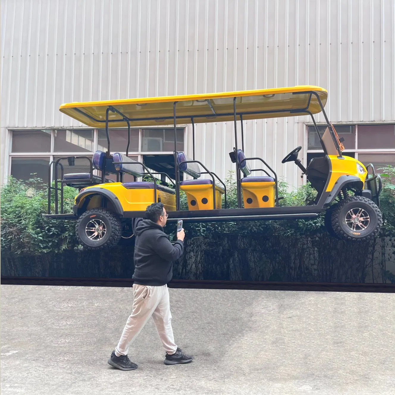 Wholesale 300cc 2 4 6 Seater EPA Certified Gas Powered Golf Carts/off Road Golf Cart with Gasoline Engine