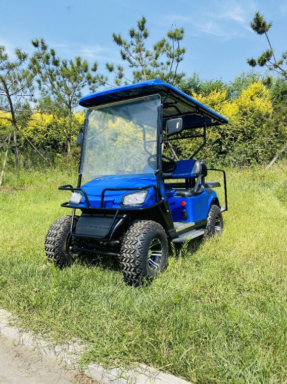 Custom Club DC Motor Four Wheel Drive Electric Golf Cart 2 Seater with Folded Back Seat