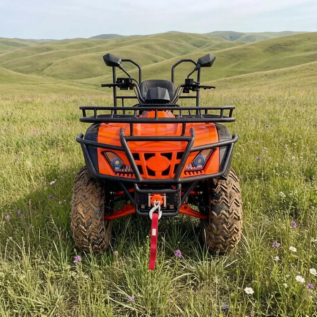 CVT Automatic Transmission Easy Operation 200cc 250cc 4 Seater Four-Wheeled Adults off Road Sport Gasoline Utility ATV CE ECE EPA Certified Automatic 125cc 4-St