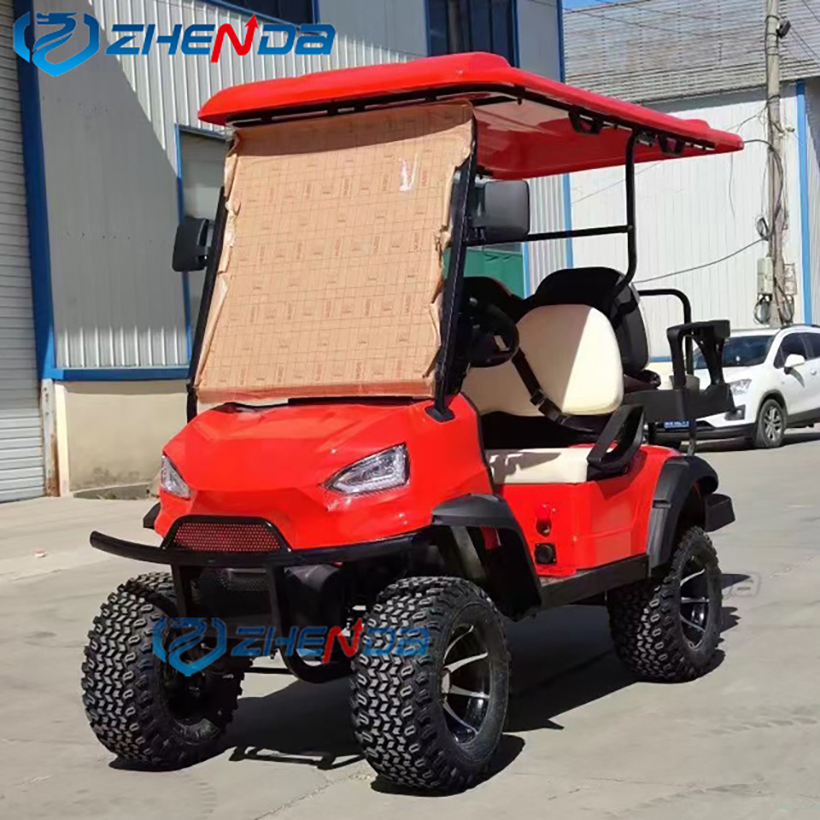 Easy Foldden Electric Buggy Gas or Battery Powered Mobility Club Car Electric Vehicle Golf Carts Sightseeing Scooter