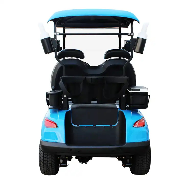 Custom 4 Wheel 2 Seat Electric Golf Kart Luxury Golf Buggy Car Electric Mini Golf Cart with Lithium Batteries