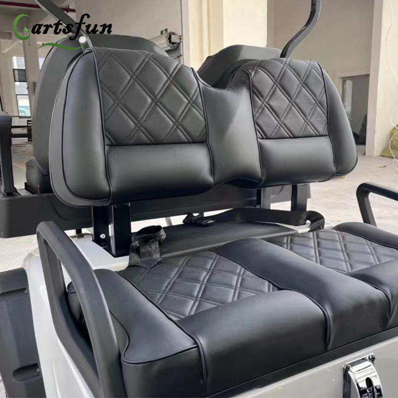 Cartsfun AC System 5kw Motor 40km/H Gas Powered Golf Cart