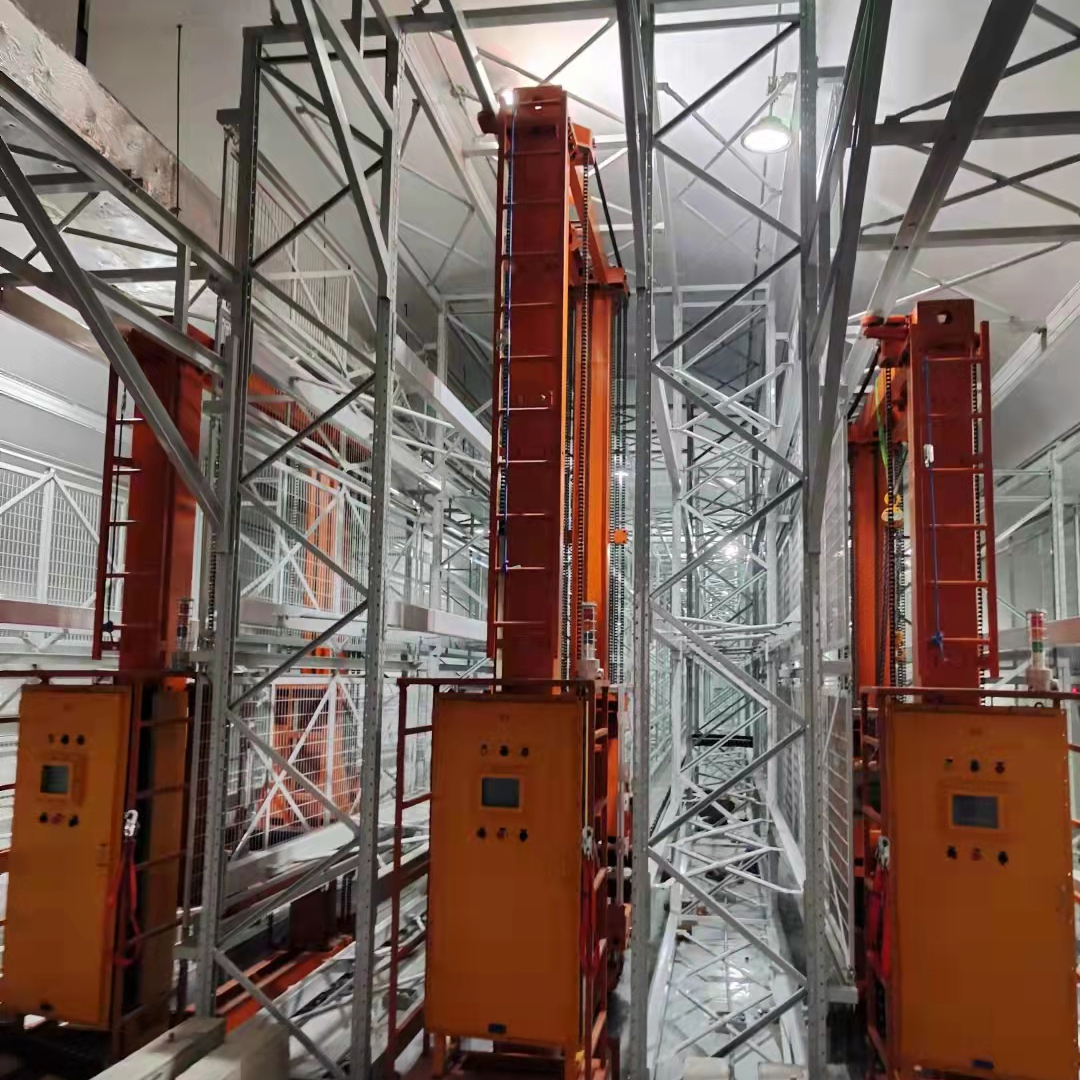 EBILMETAL EBIL-DDJ Heavy Duty Steel Q235 Load Stacker Crane Corrosion Protection Max 6 Tons Capacity SGS/CE Certified Storage