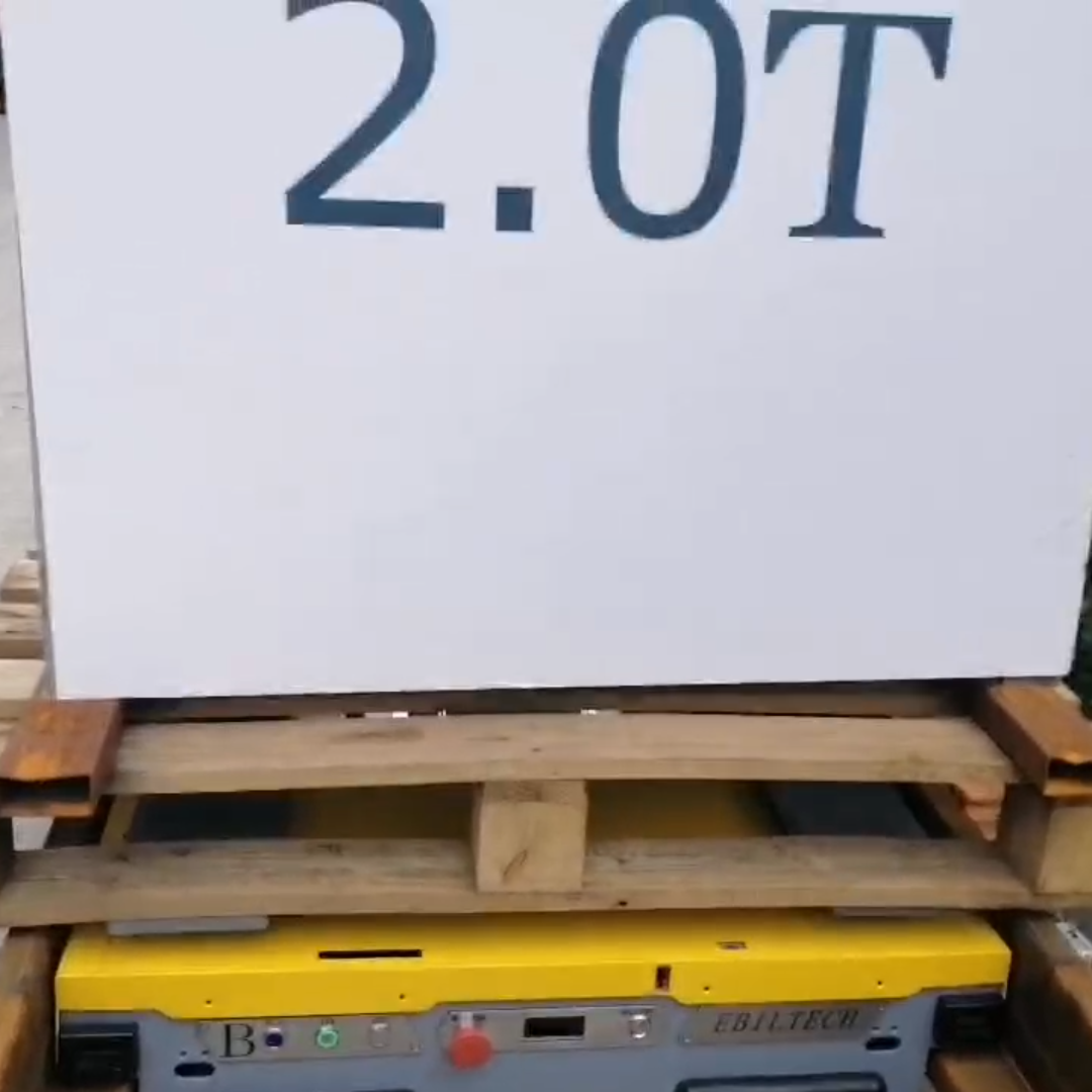 EBILTECH 500-2000kg Load Automated Access Equipment Radio Pallet Shuttle Car with CE Certificate Metal Zinc Galvanized
