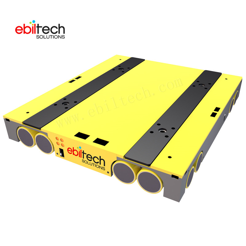 Cold Chain Industry Use Automatic Four Way Shuttle Pallet Runner