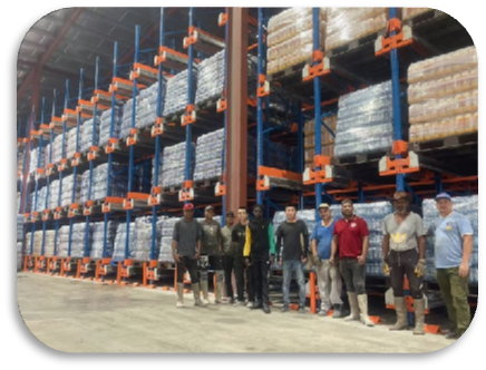Radio Shuttle Storage System for Pallet Racks, Fast In/Out Inventory